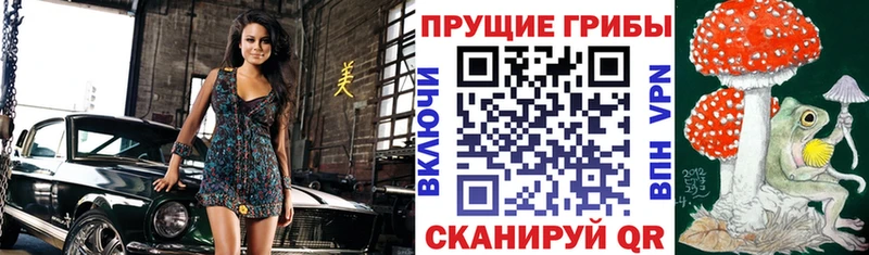 где можно купить Моздок Галлюциногенные грибы мухоморы